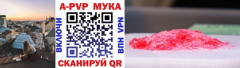 A PVP СК  Вологда 