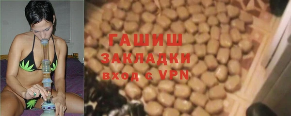 сатива Верея