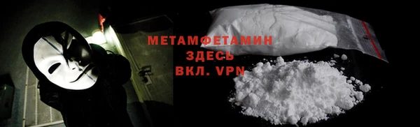 сатива Верея