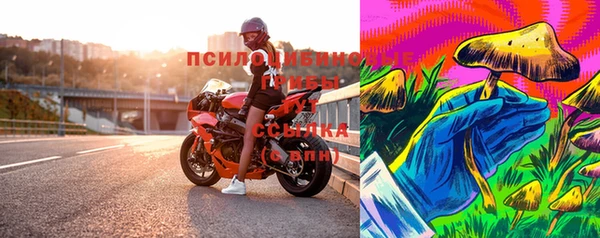 сатива Верея