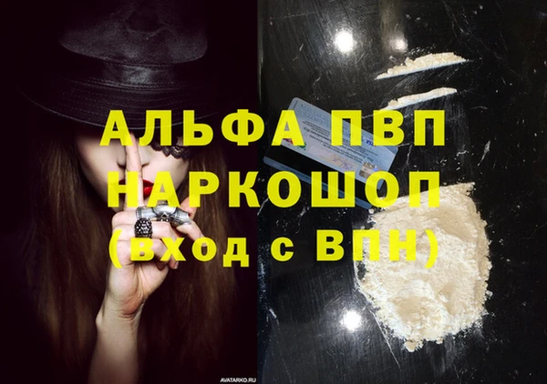 сатива Верея
