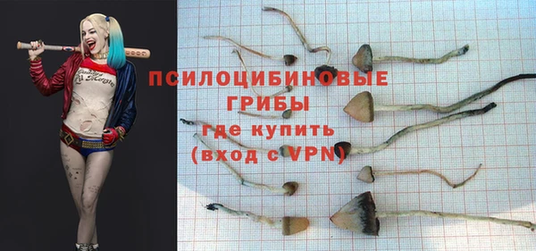 сатива Верея