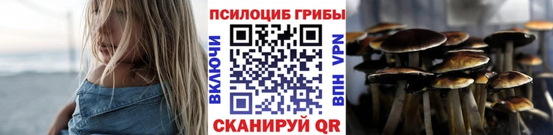 Псилоцибиновые грибы мицелий  Вологда 